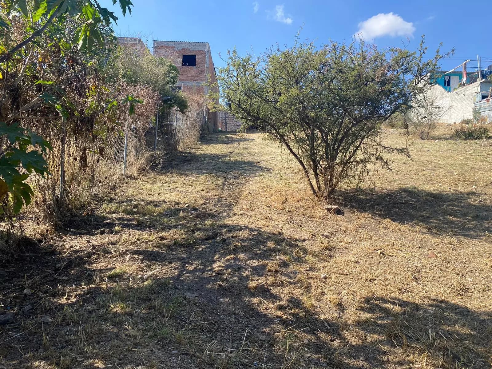 De las flores — photo 4 of 9