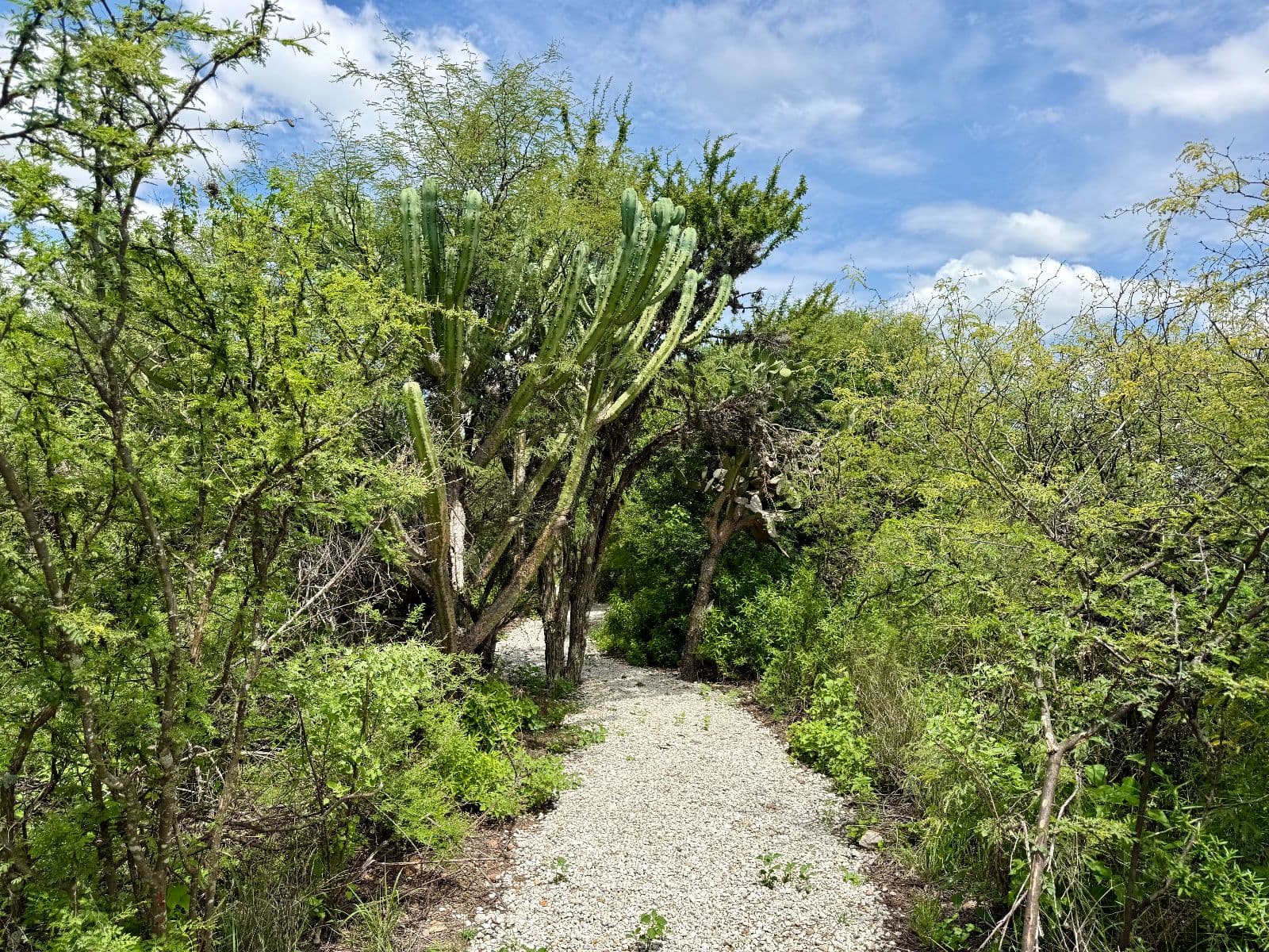 LOTE 2 SIGNATURE FRENTE A LA PRESA EN VENTA — photo 4 of 9