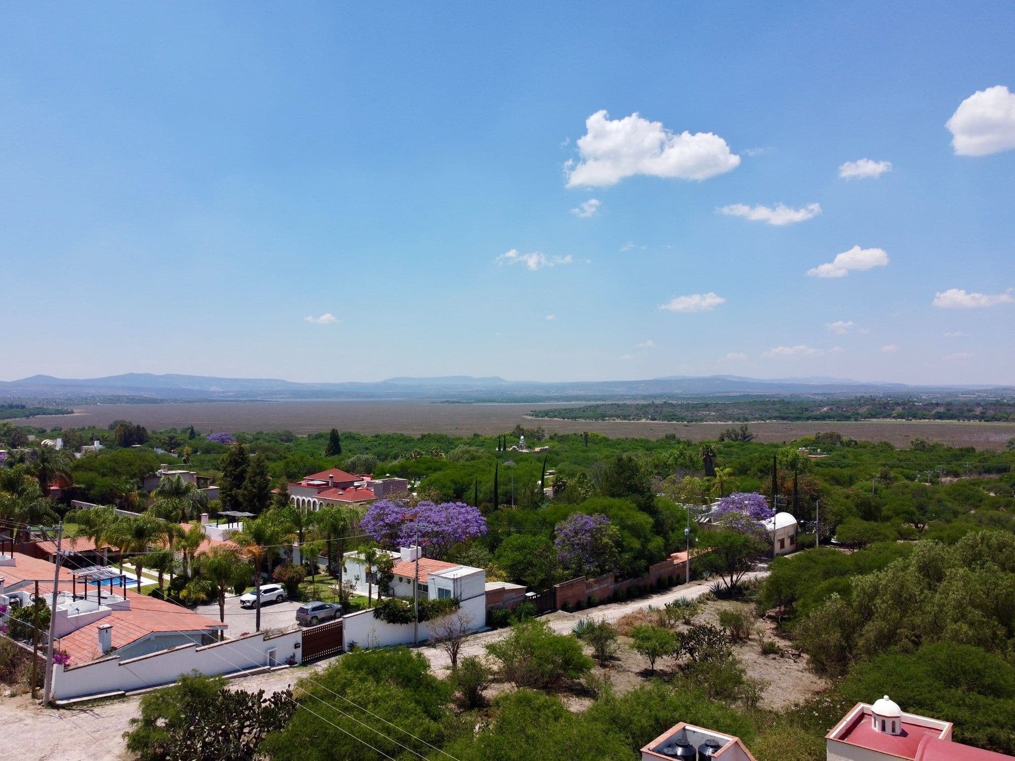 Esteponia Lot 8 Malanquin — photo 7 of 9