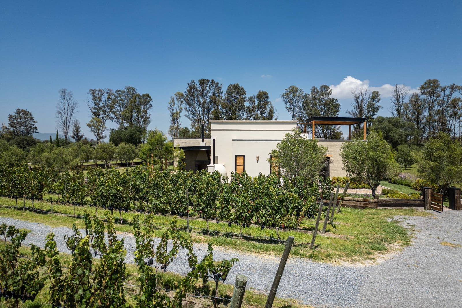 Casa Jinete — photo 9 of 10