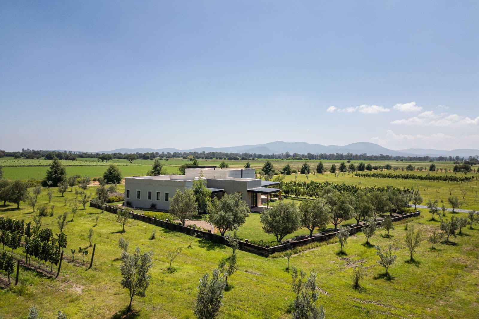 Casa Jinete — photo 2 of 10