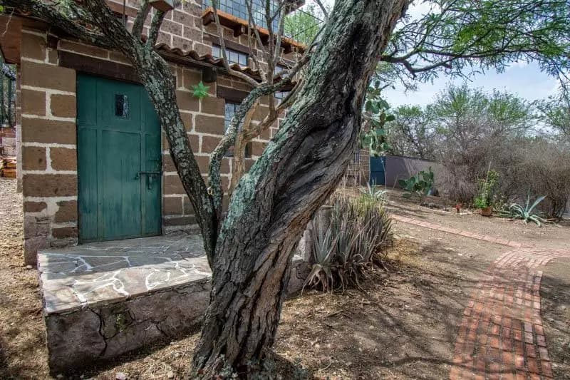 Casa Noah — photo 3 of 10