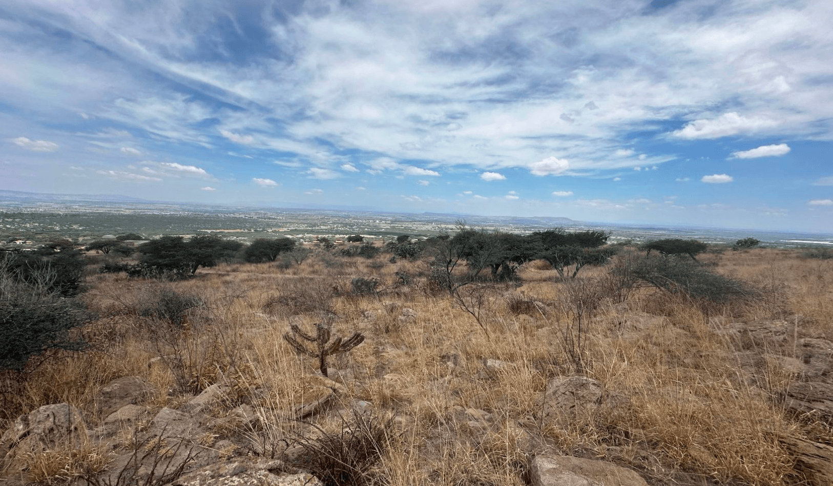 Santa Matilde Valley View — photo 4 of 5