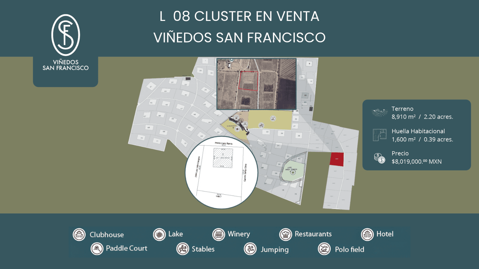 L 8 VIÑEDOS SAN FRANCISCO — photo 1 of 7