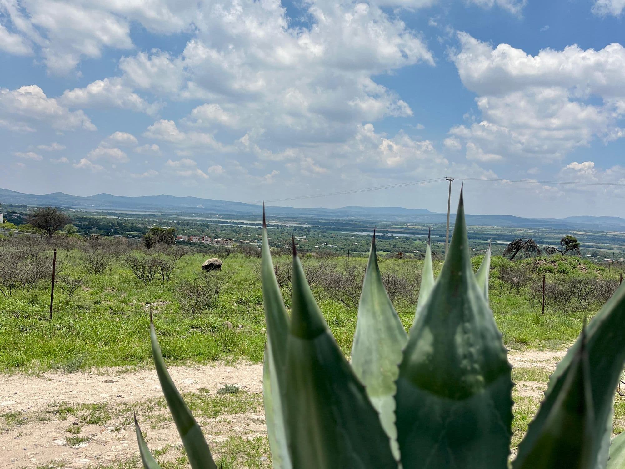 Lotes Nativa — photo 9 of 10