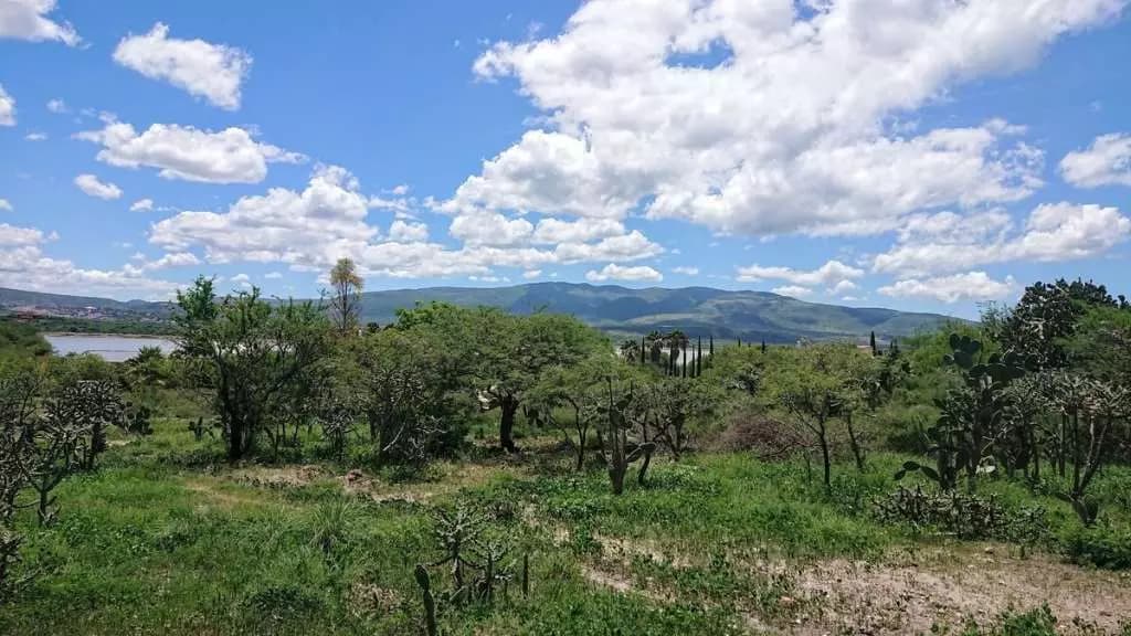 Lote Ponce — photo 1 of 10