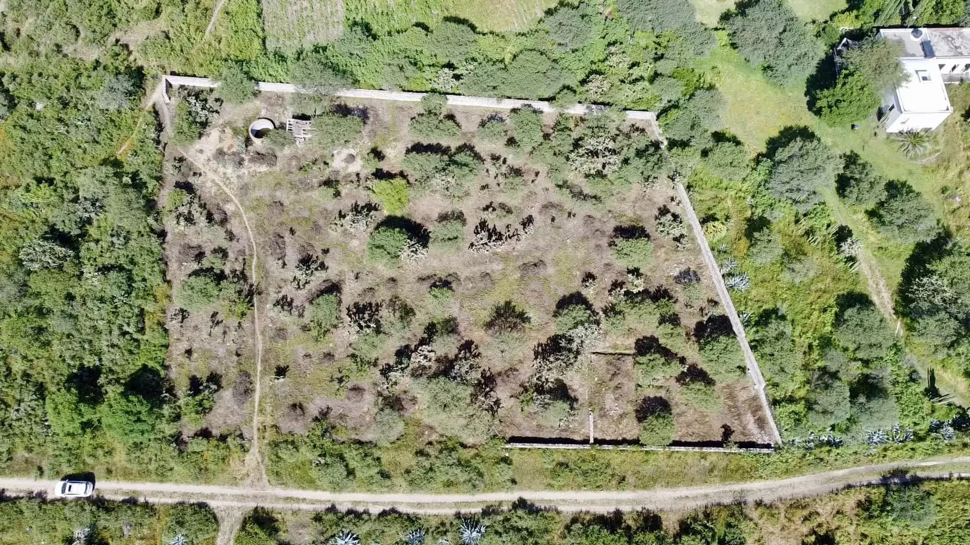 Lote Ponce — photo 9 of 10