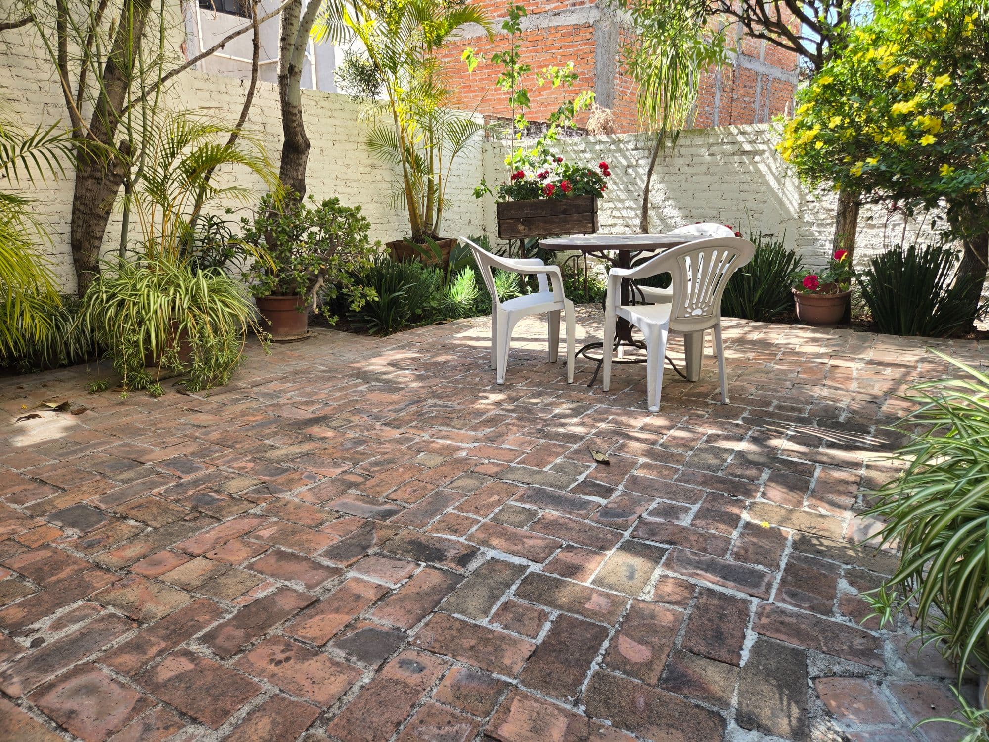 Casa Penelope — photo 10 of 10