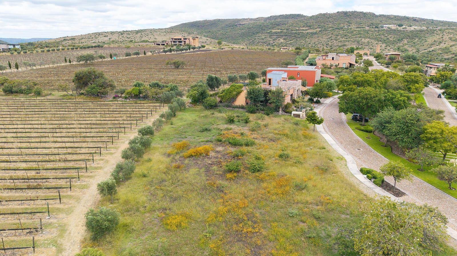 LOTE VIÑEDO SAN MIGUEL — photo 4 of 10