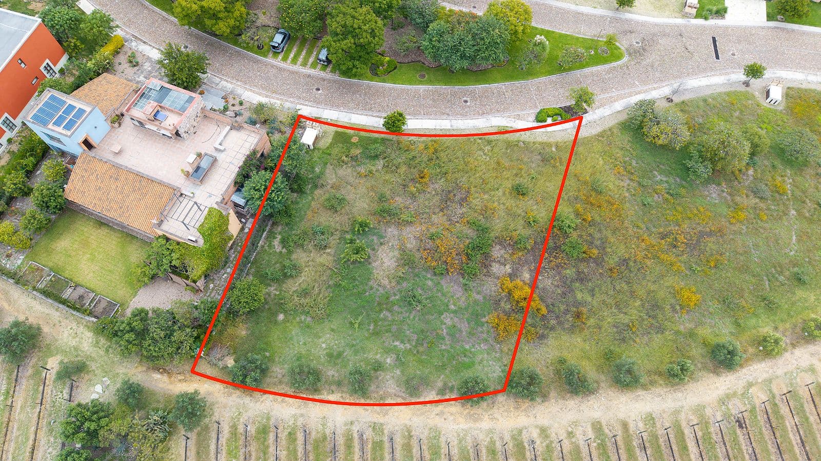 LOTE VIÑEDO SAN MIGUEL — photo 2 of 10