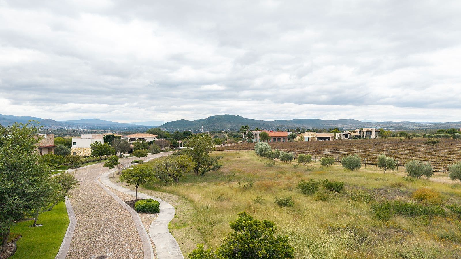 LOTE VIÑEDO SAN MIGUEL — photo 5 of 10