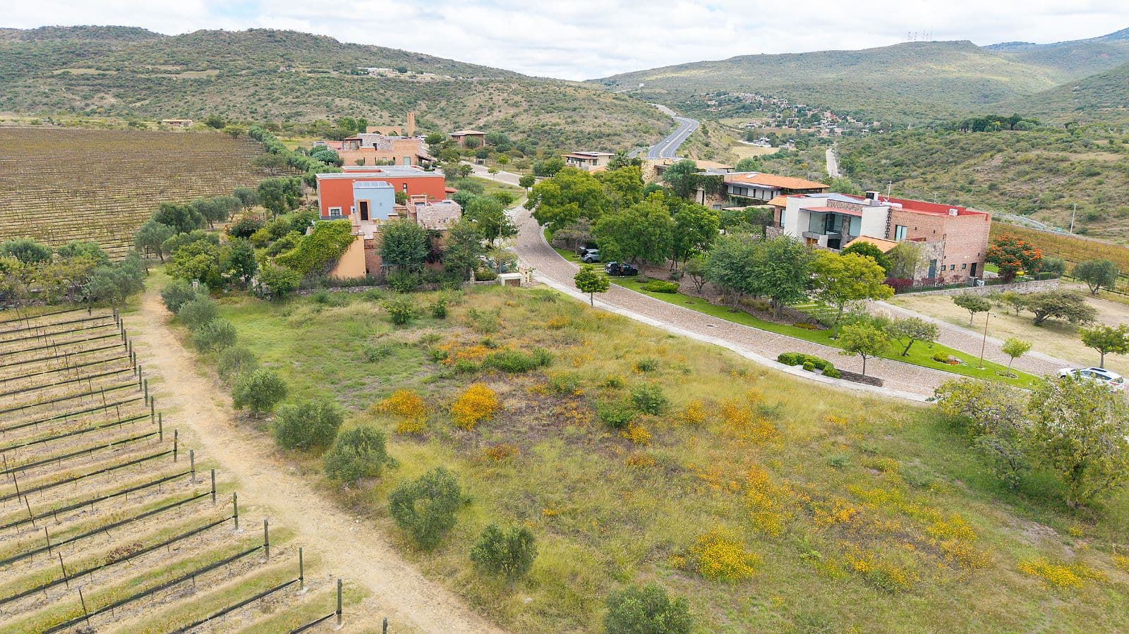 LOTE VIÑEDO SAN MIGUEL — photo 6 of 10