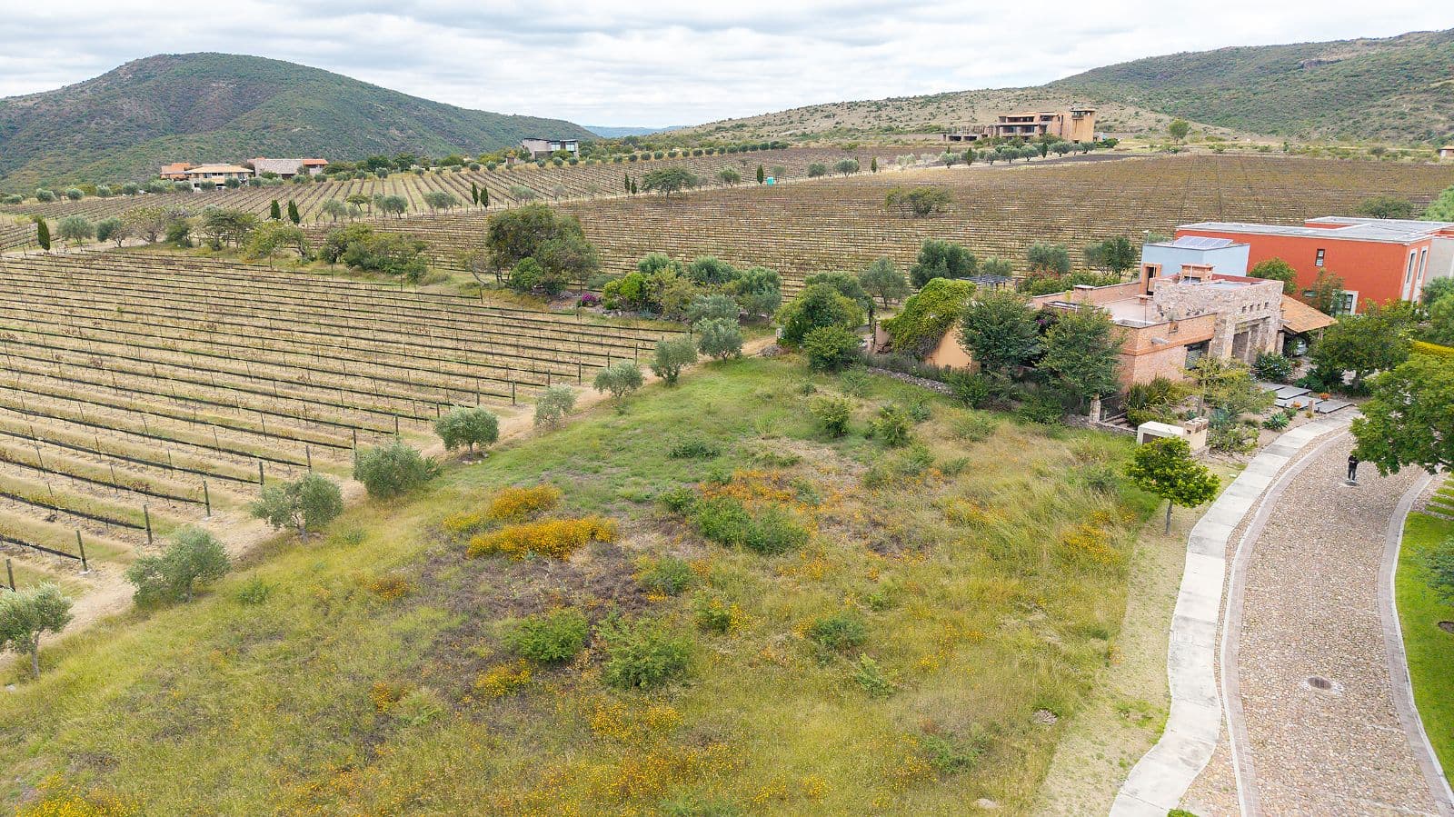 LOTE VIÑEDO SAN MIGUEL — photo 10 of 10