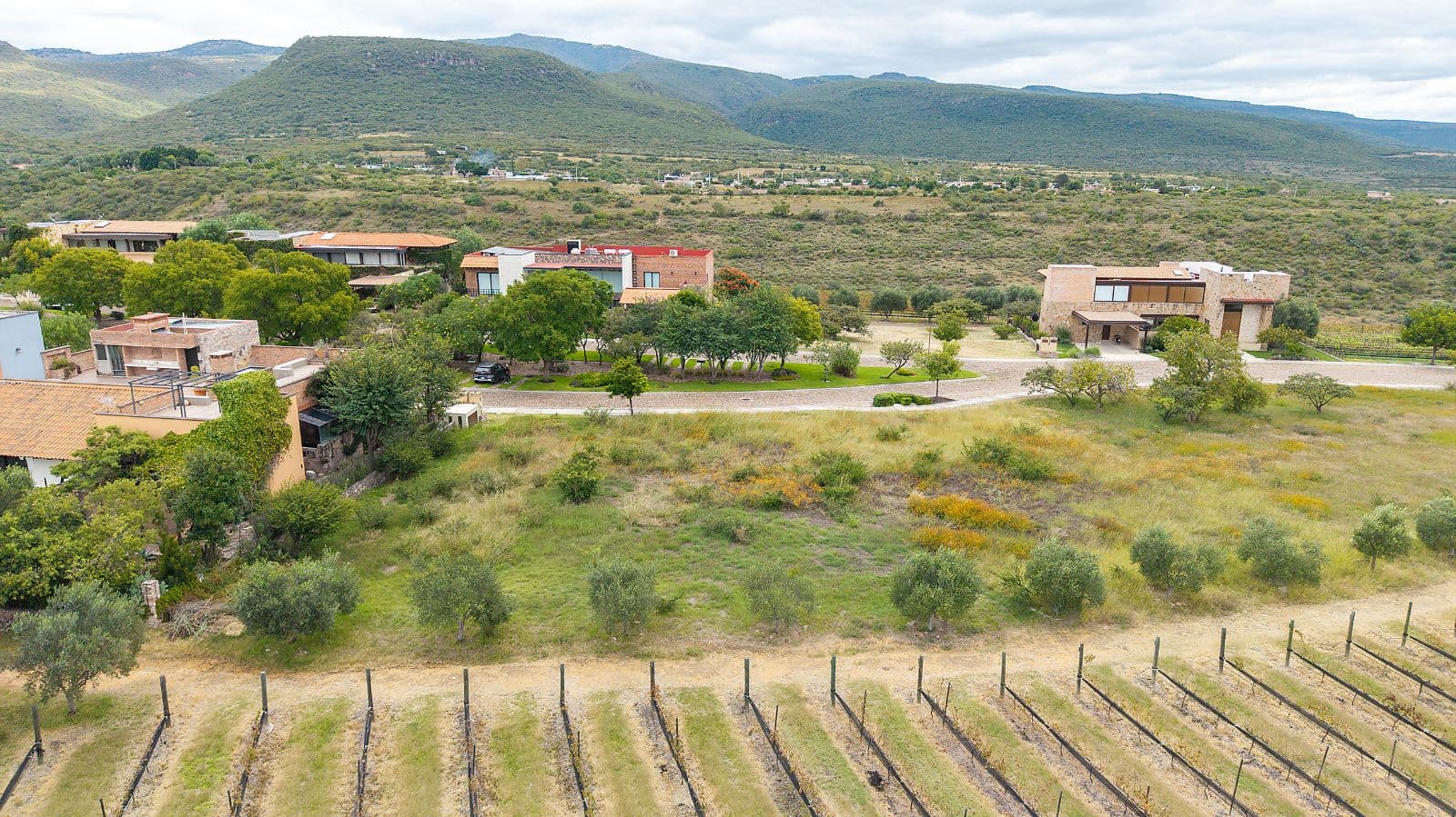 LOTE VIÑEDO SAN MIGUEL — photo 7 of 10