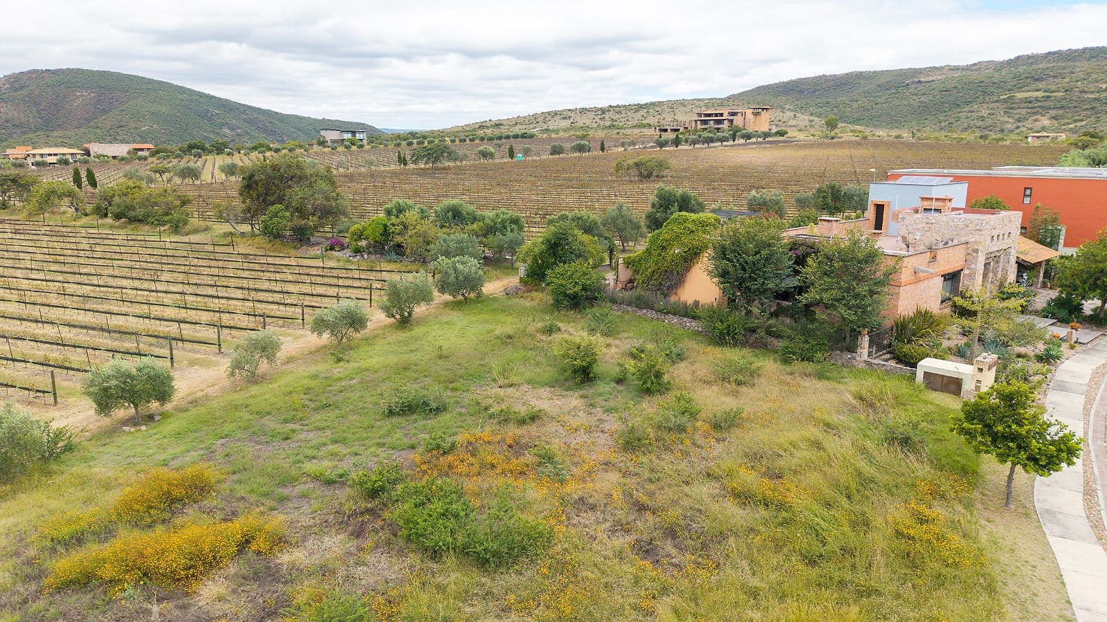 LOTE VIÑEDO SAN MIGUEL — photo 3 of 10