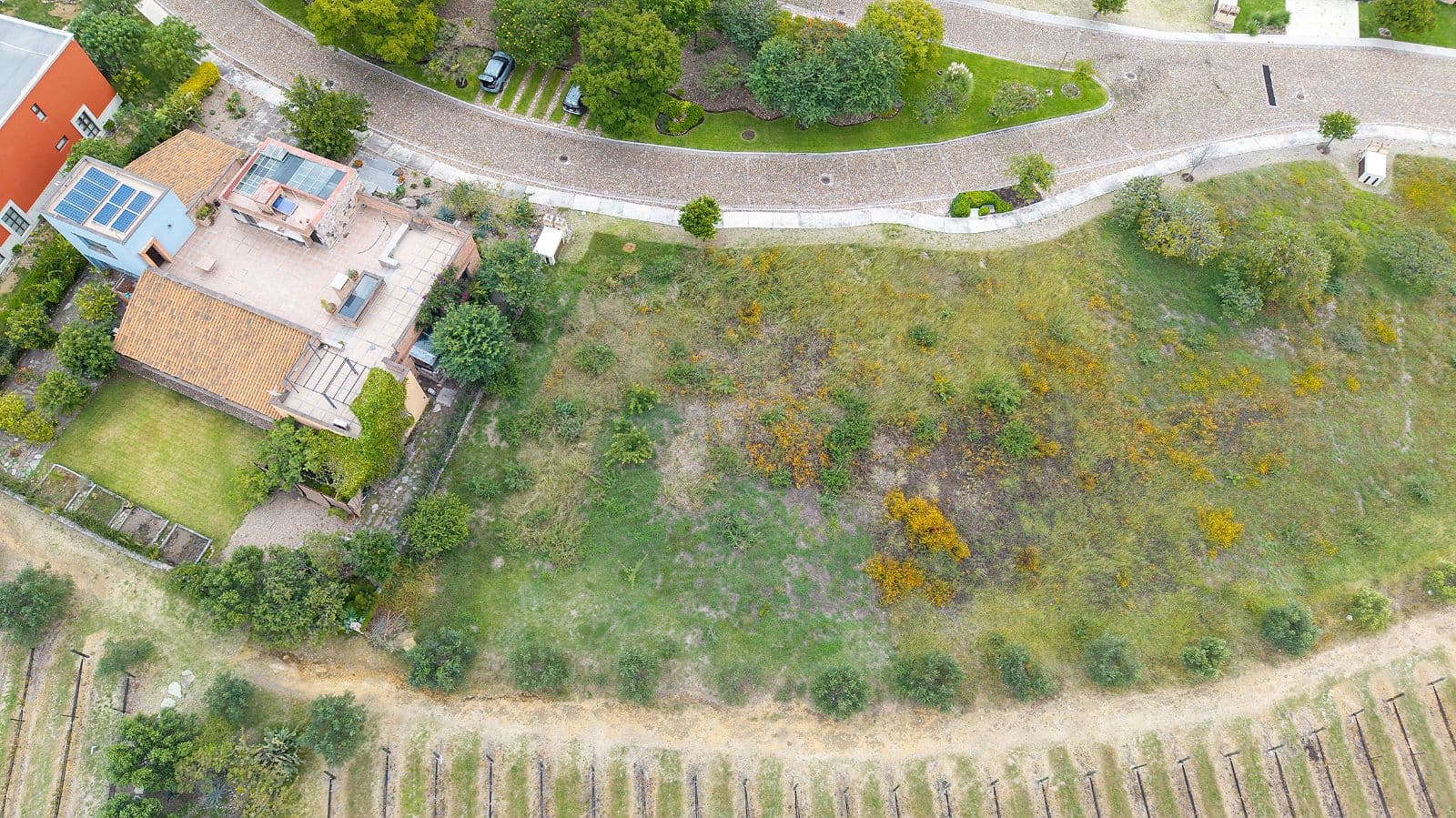 LOTE VIÑEDO SAN MIGUEL — photo 9 of 10