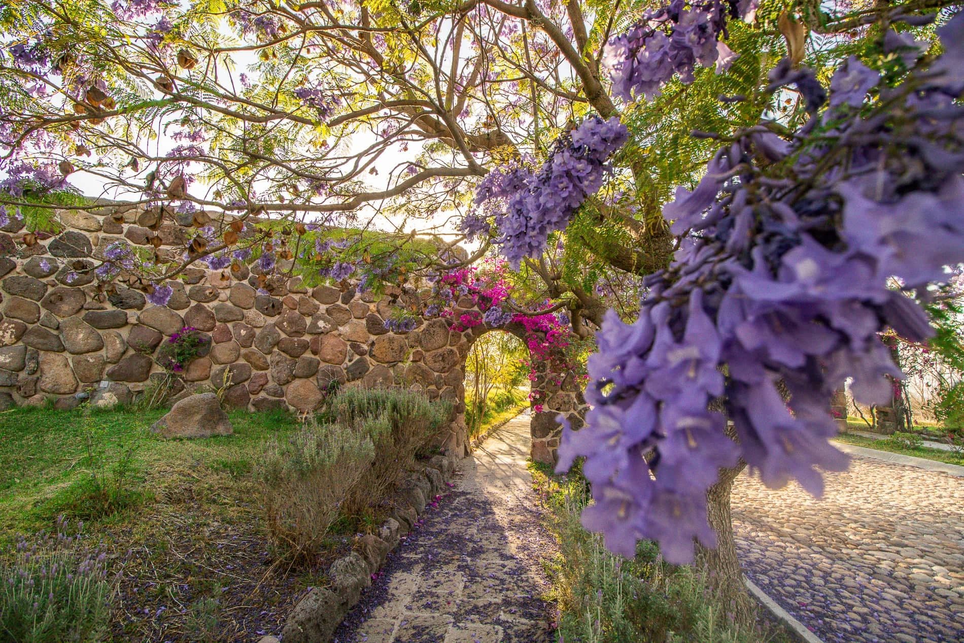 AltaVista Lot 3 – 1,043 m² | Luxury Lot Near Centro in San Miguel de Allende