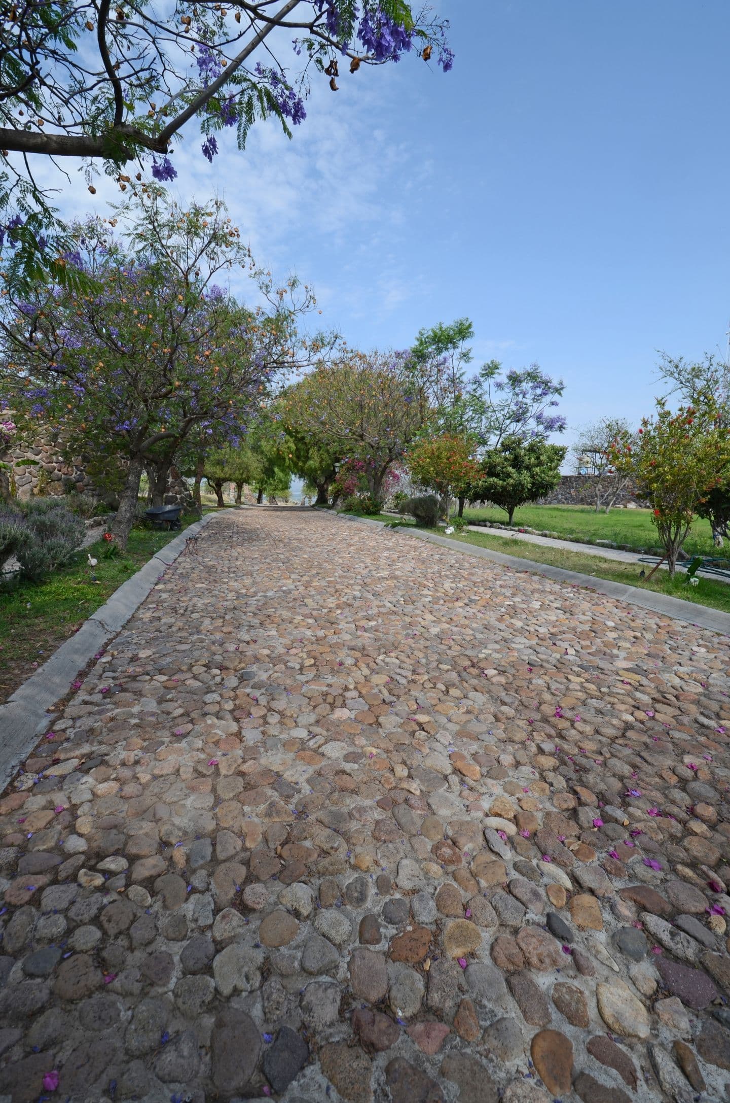 AltaVista Lot 3 – 1,043 m² | Luxury Lot Near Centro in San Miguel de Allende — photo 3 of 7