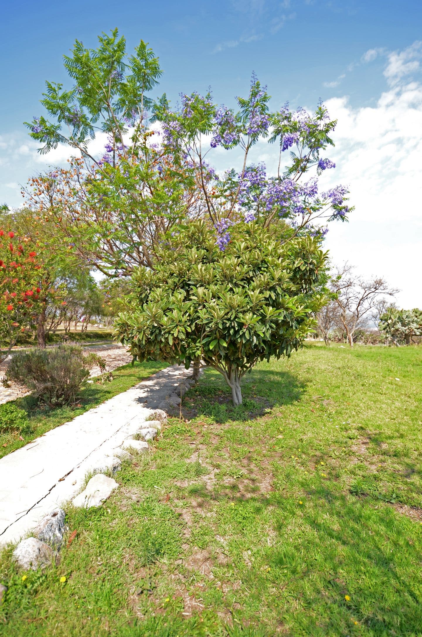 AltaVista Lot 3 – 1,043 m² | Luxury Lot Near Centro in San Miguel de Allende — photo 5 of 7