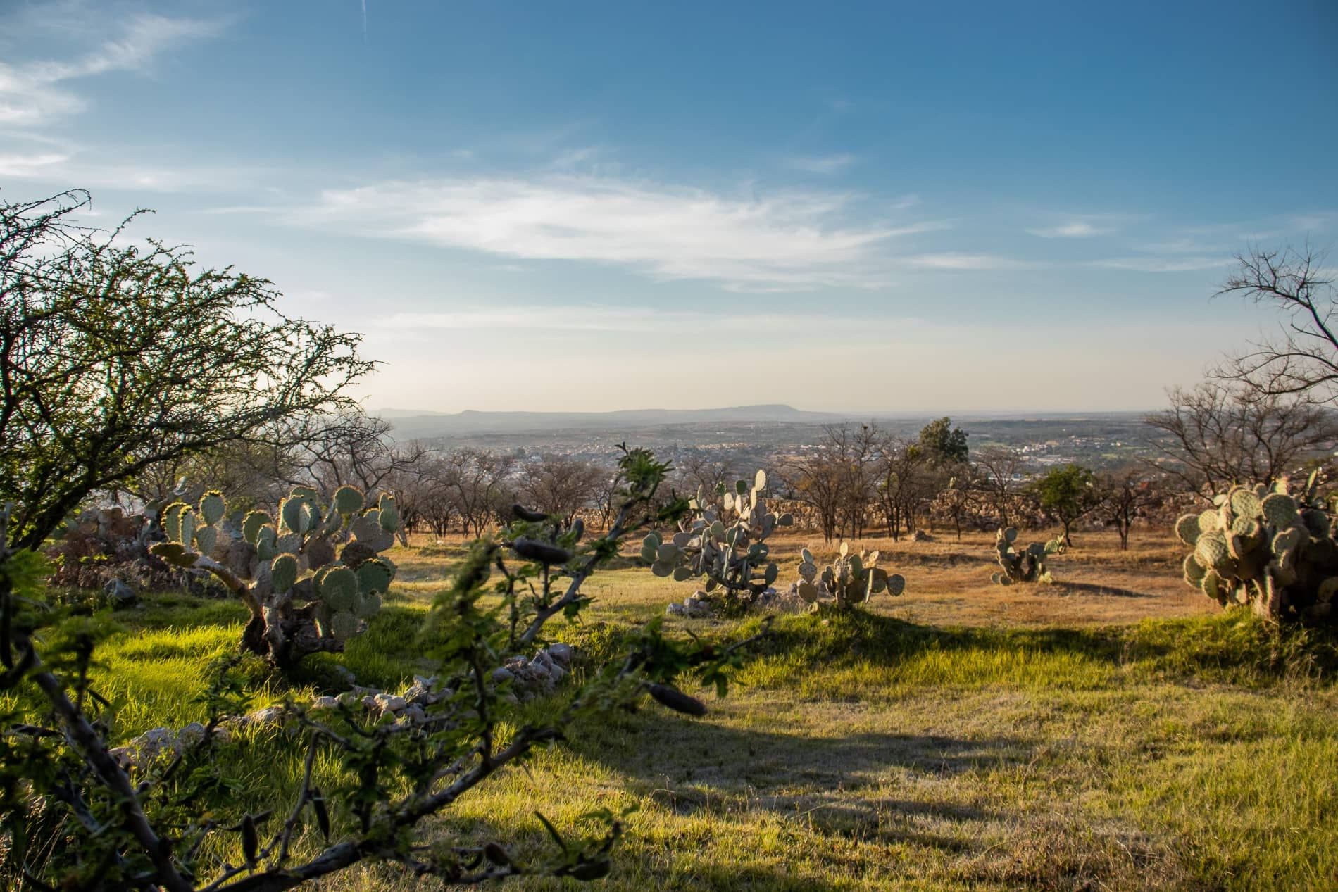 AltaVista Lot 3 – 1,043 m² | Luxury Lot Near Centro in San Miguel de Allende — photo 7 of 7