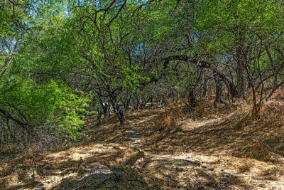 Piece of land near the river, the dam, and the historic Silver Road — photo 8 of 8