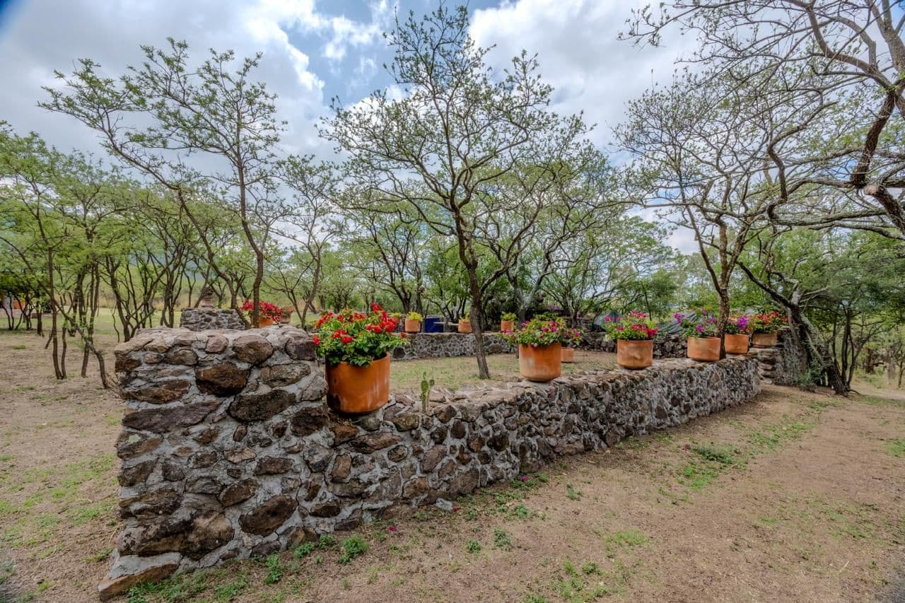 Campo Azul — photo 5 of 10