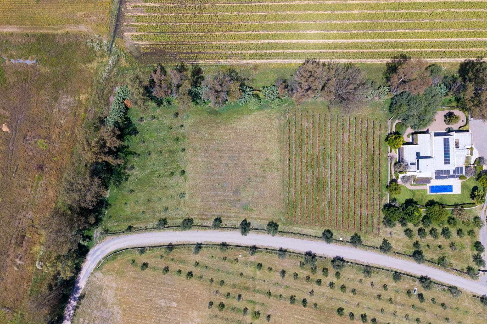 San Francisco Vineyards Lot 1 — photo 6 of 10