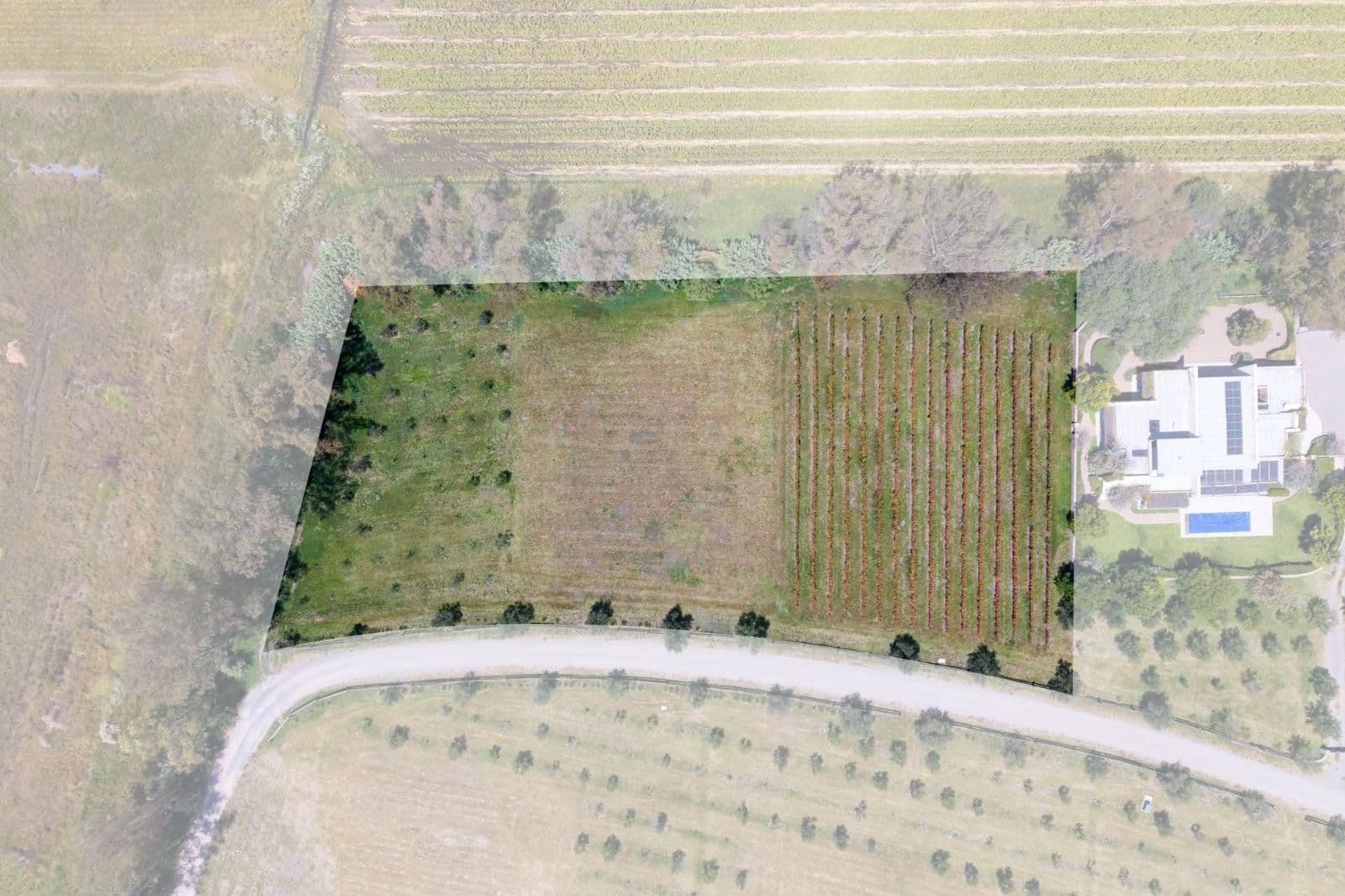 San Francisco Vineyards Lot 1 — photo 7 of 10