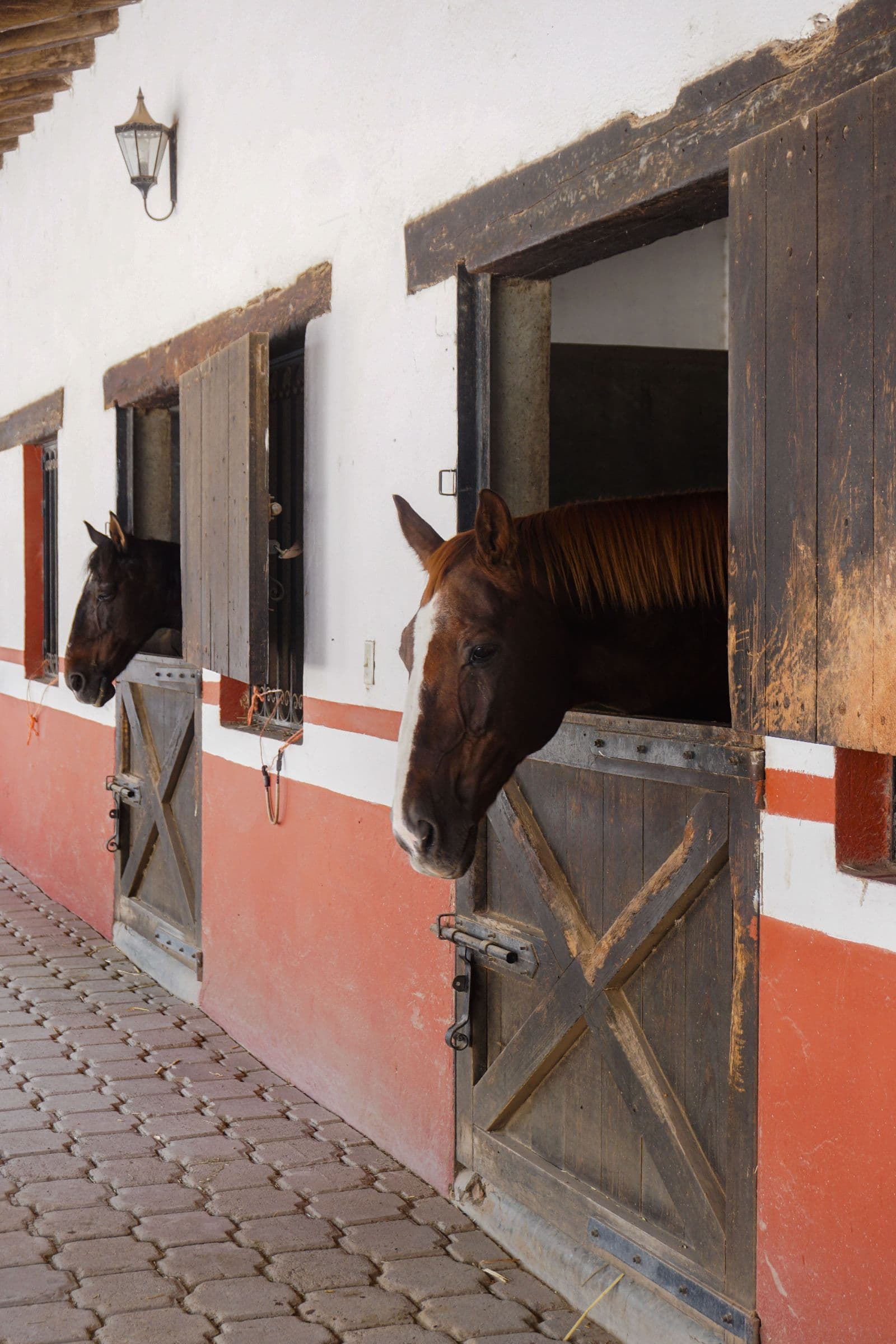 Centro Ecuestre Canales — photo 8 of 10