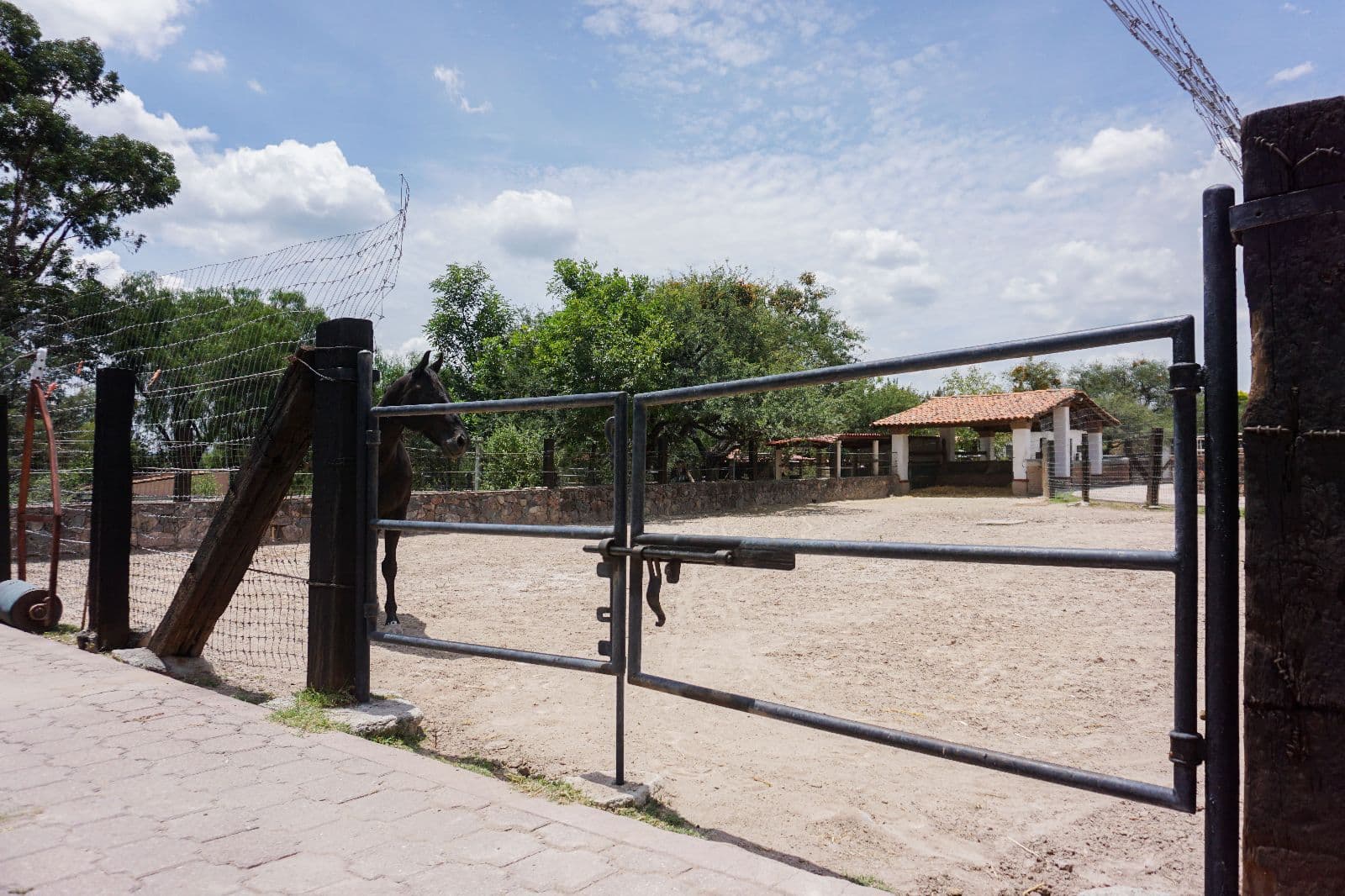 Centro Ecuestre Canales — photo 6 of 10