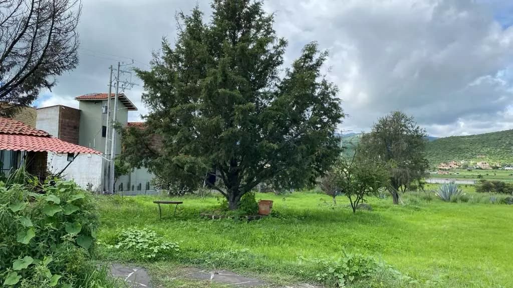 Terreno Campestre Con Cabaña — photo 8 of 10