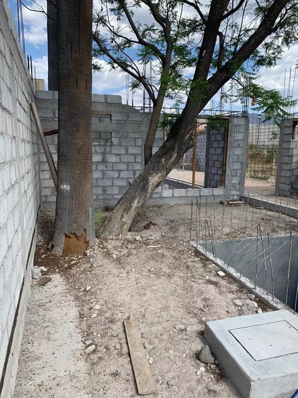 El Suspiro Project — photo 4 of 10