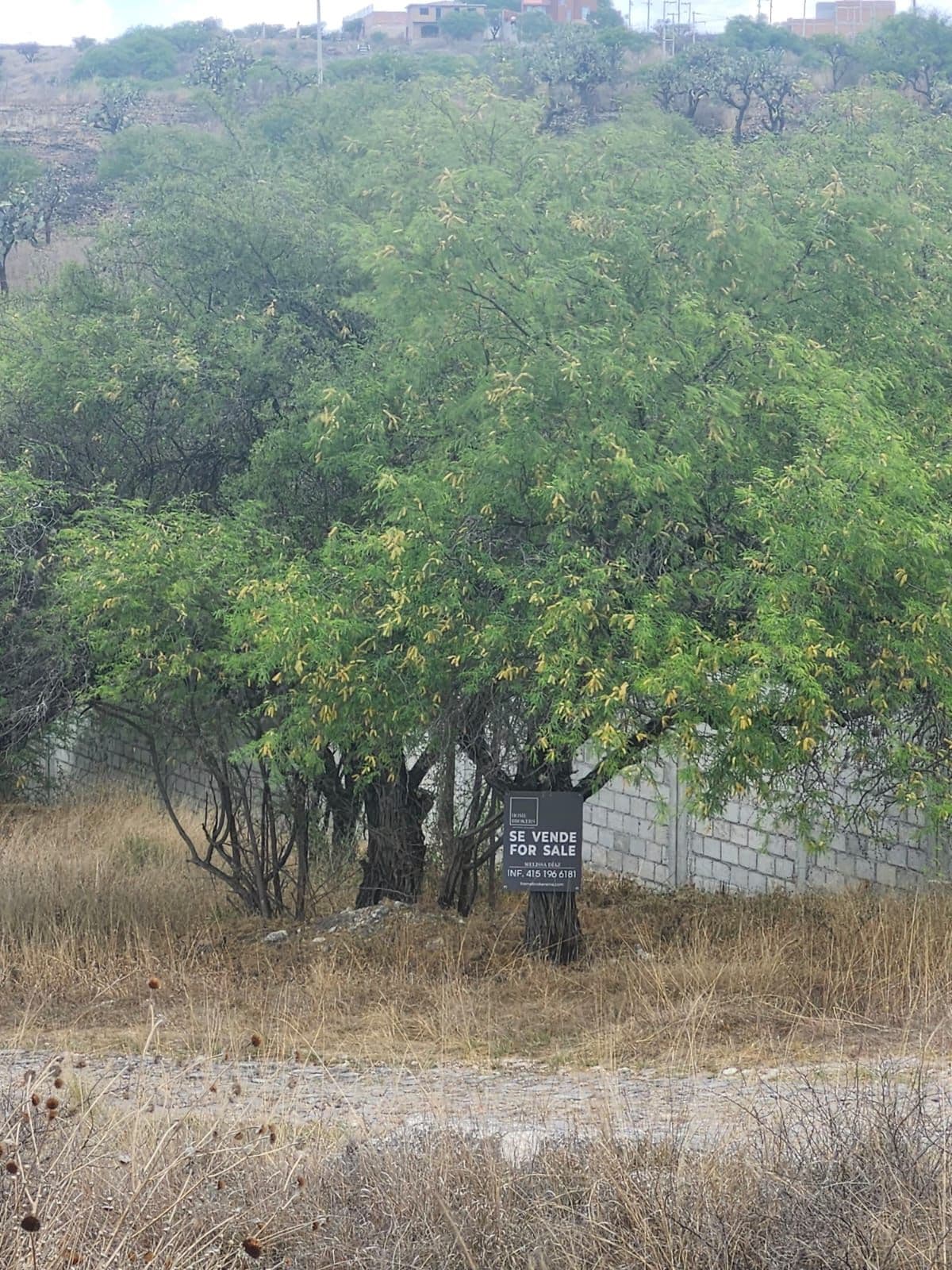 La Cieneguita Aguas Termales — photo 7 of 7