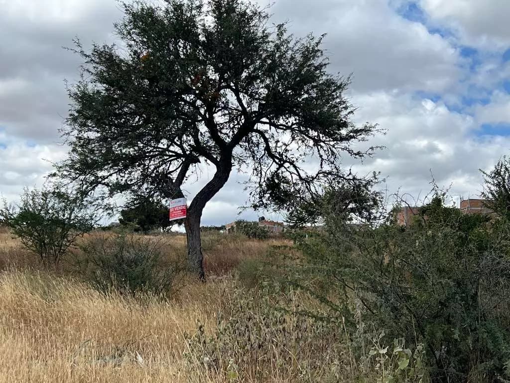 Lote Lidia — photo 3 of 6