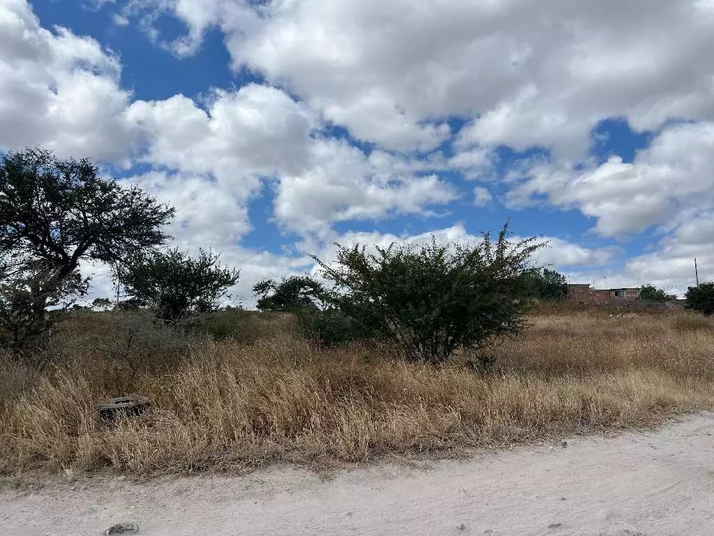 Lote Lidia — photo 5 of 6