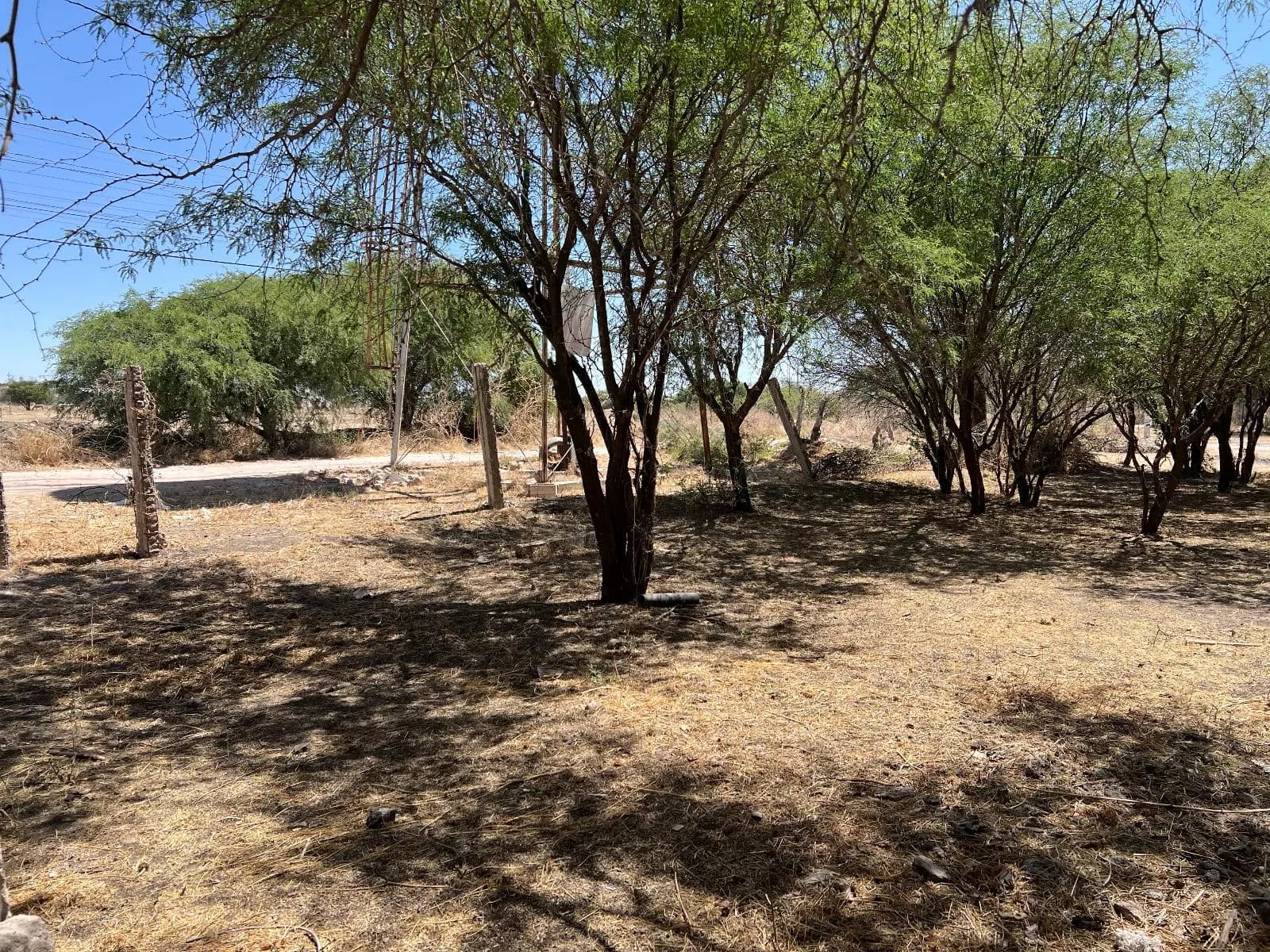Lote Liz — photo 1 of 8