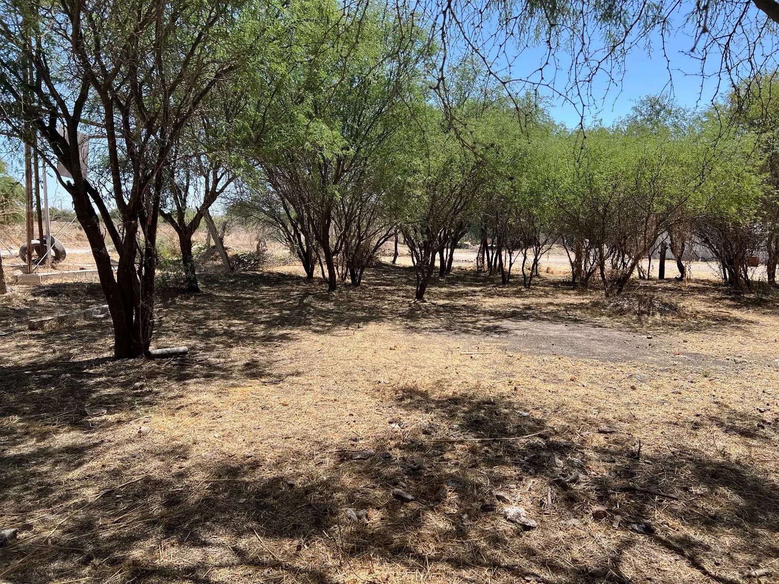 Lote Liz — photo 3 of 8