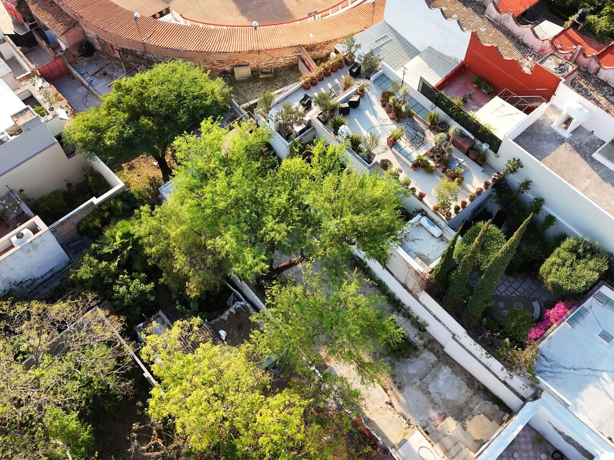 Barranca 67, A Rare Opportunity in Centro — photo 4 of 10