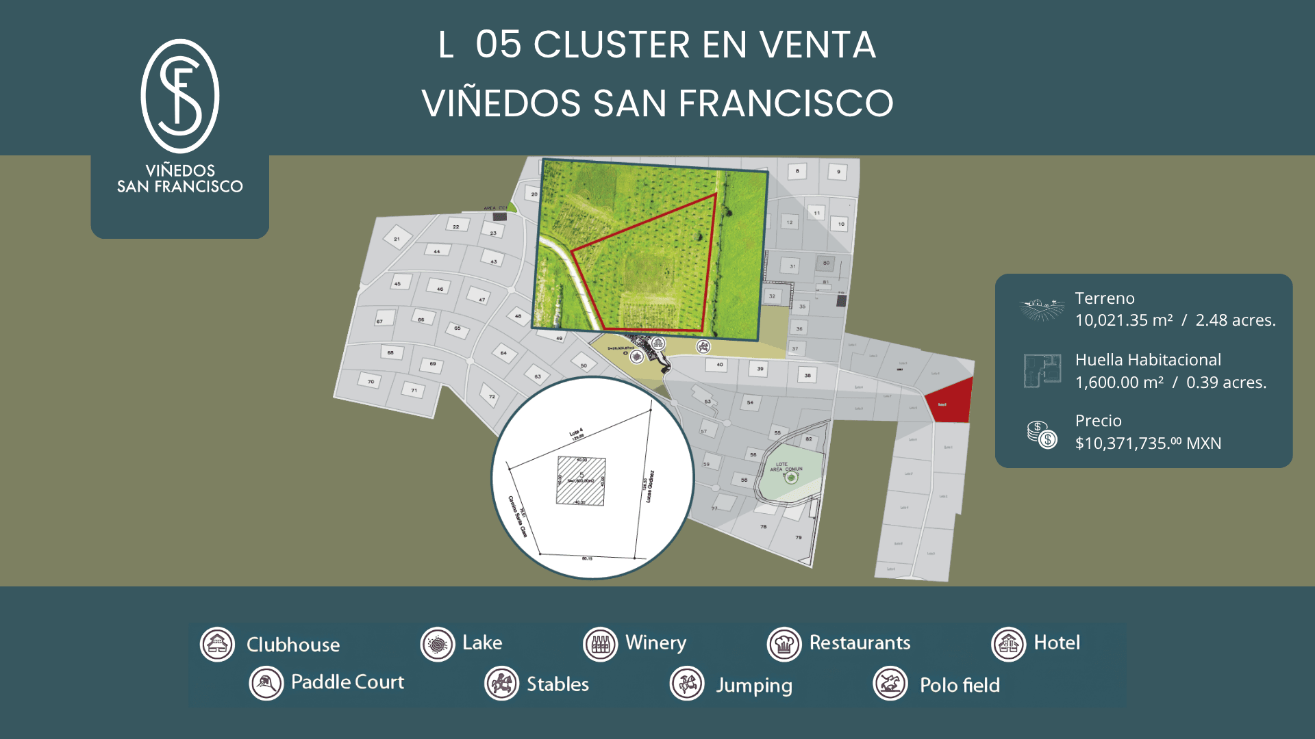 L 5 CLÚSTER VIÑEDOS SAN FRANCISCO — photo 1 of 7