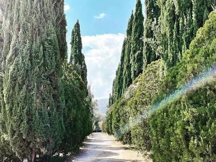 Casa De La Luz, — photo 9 of 10