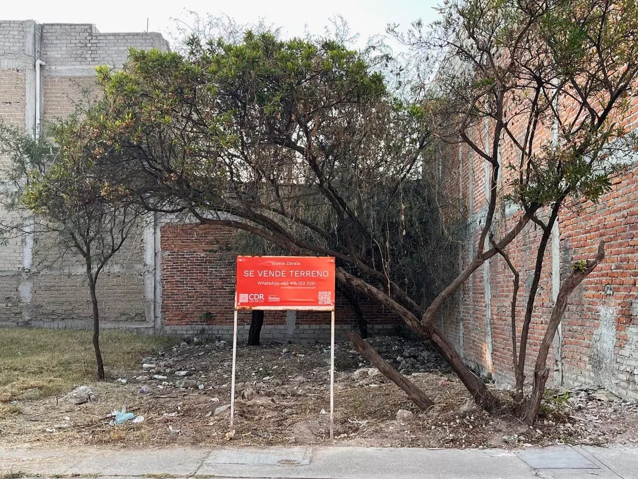 Lote Reforma — photo 7 of 7