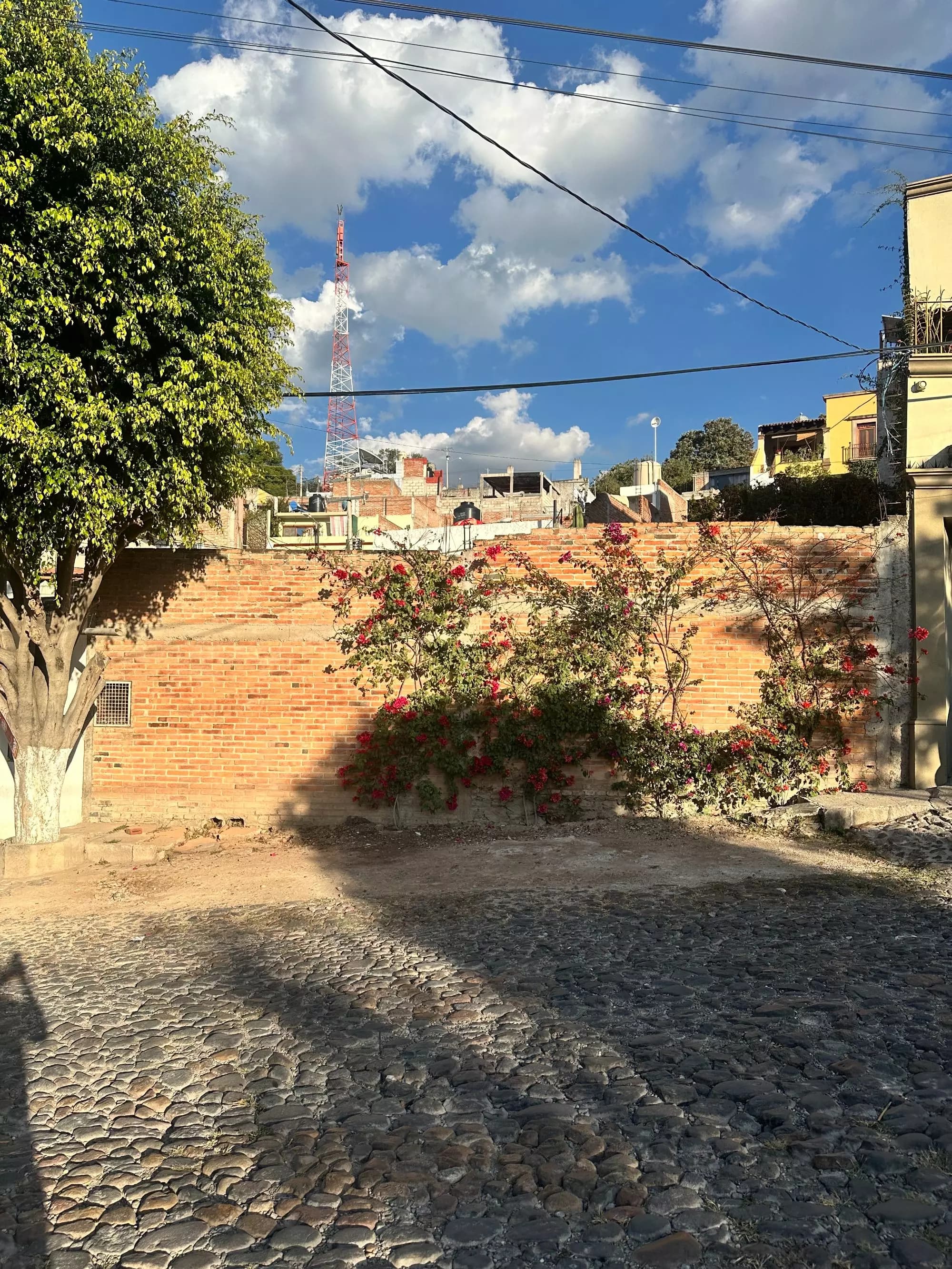 Lote en Allende Subida Al Caracol — photo 4 of 10