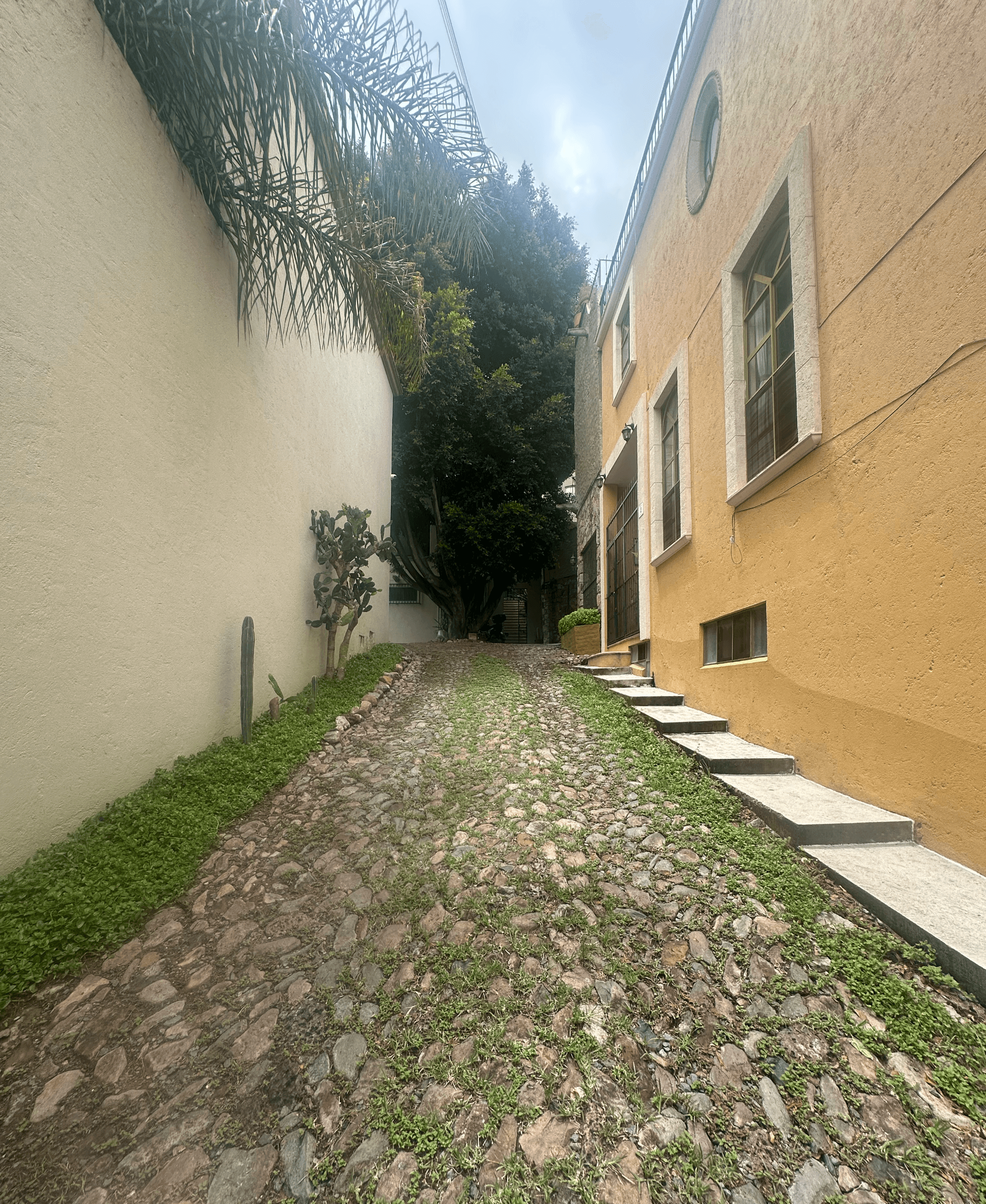 Lote en Allende Subida Al Caracol — photo 4 of 7