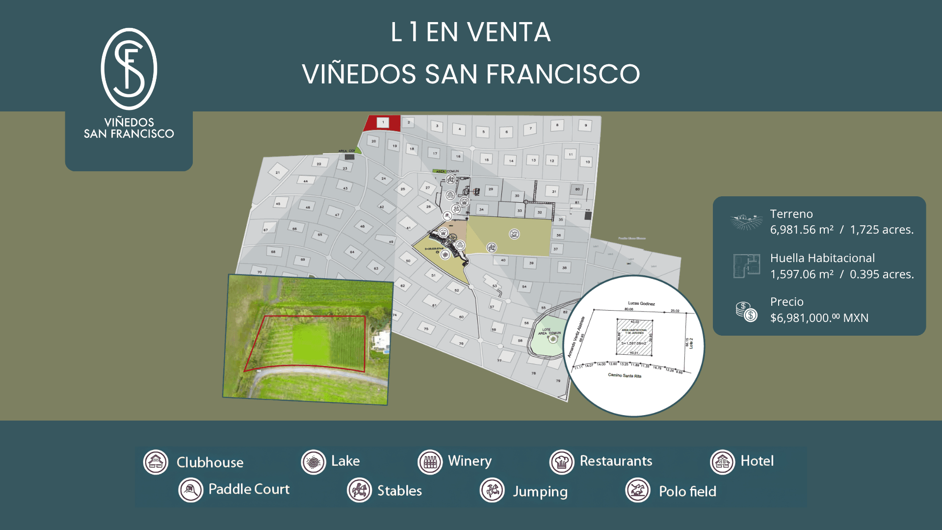 L 1 VIÑEDOS SAN FRANCISCO
