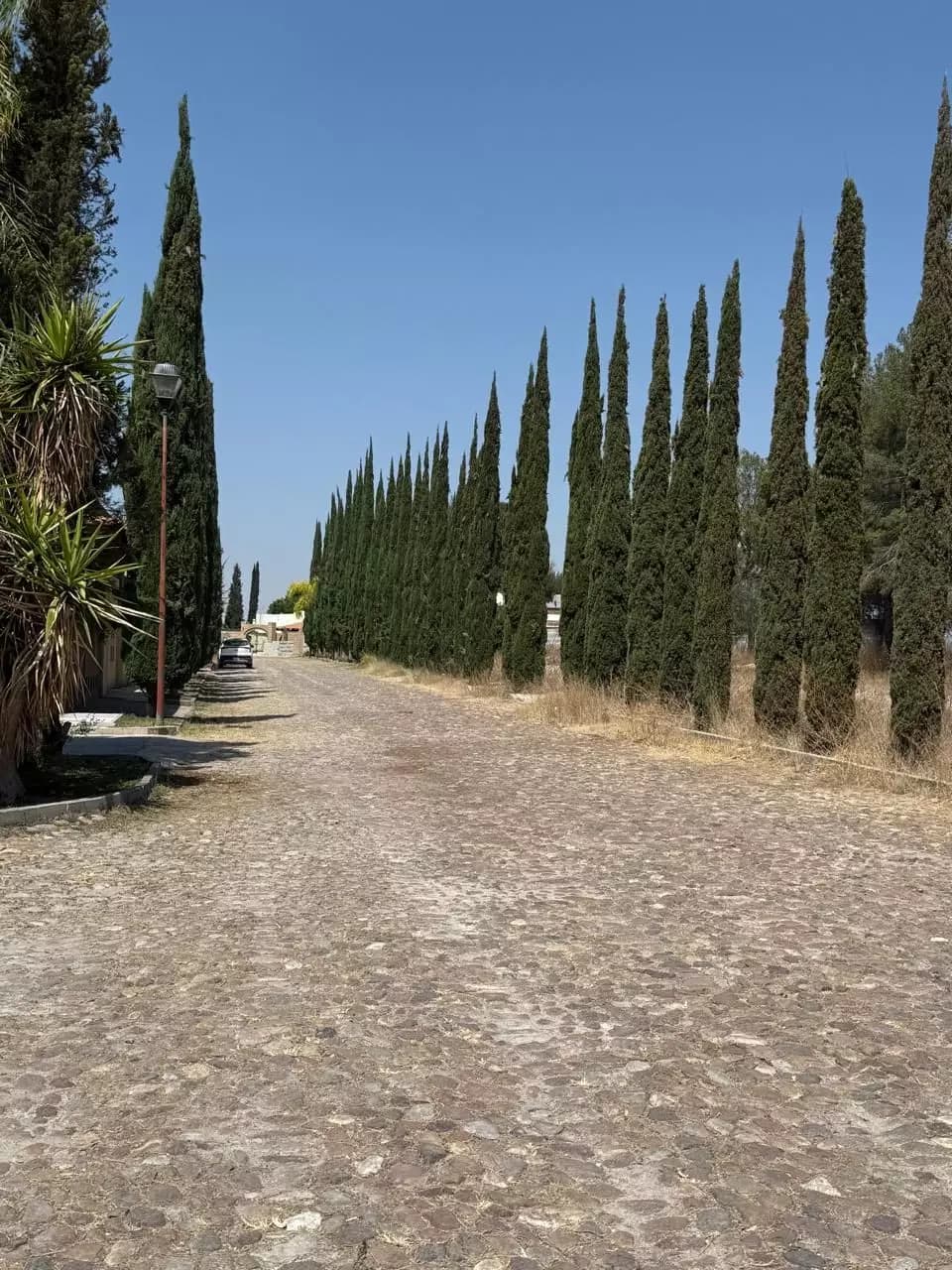 Terreno Atotonilco el Viejo — photo 6 of 9