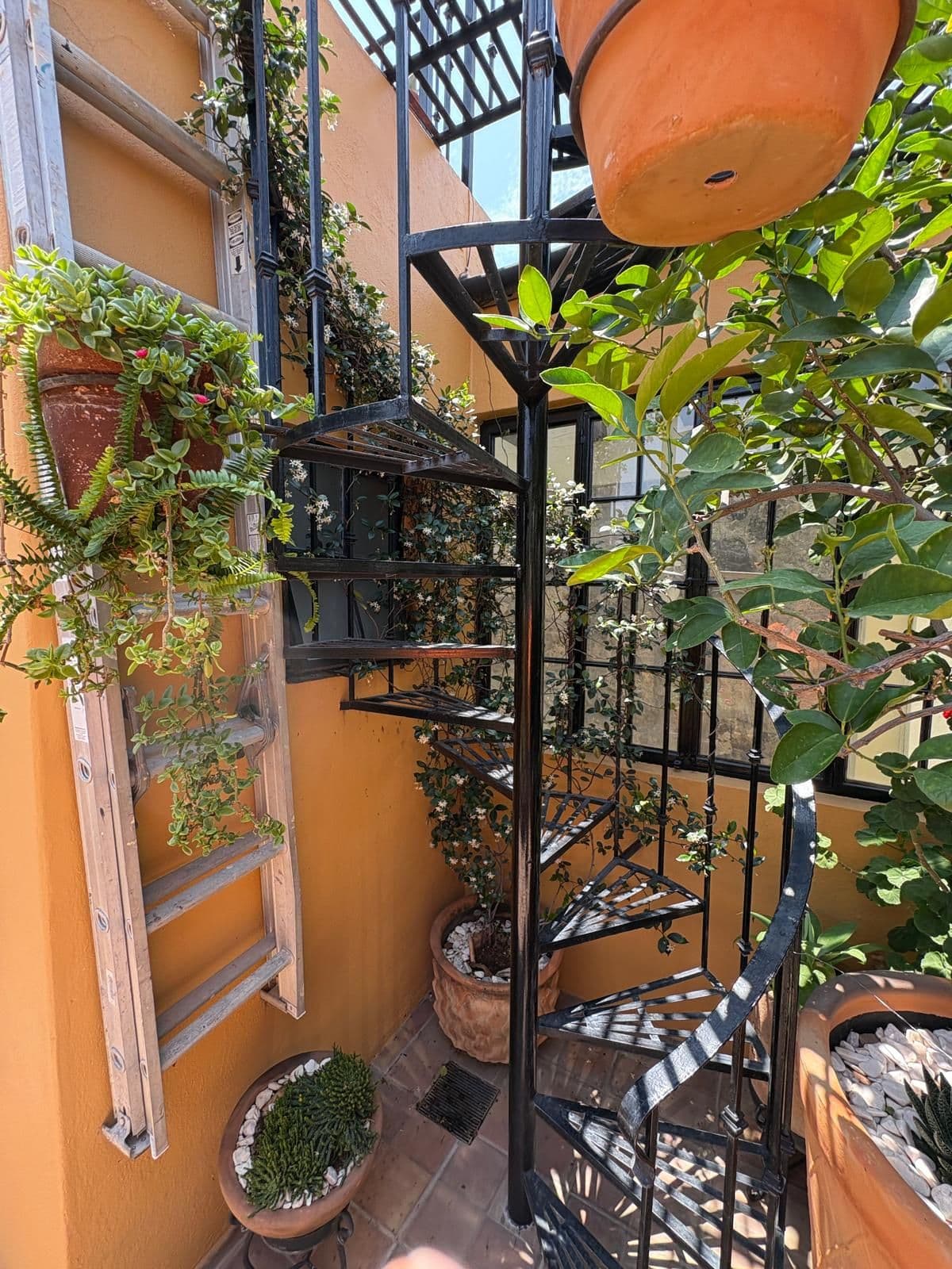 Casa Paula — photo 10 of 10