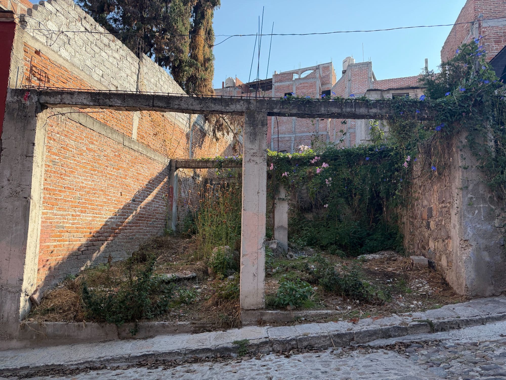 Lote Atascadero — photo 3 of 10