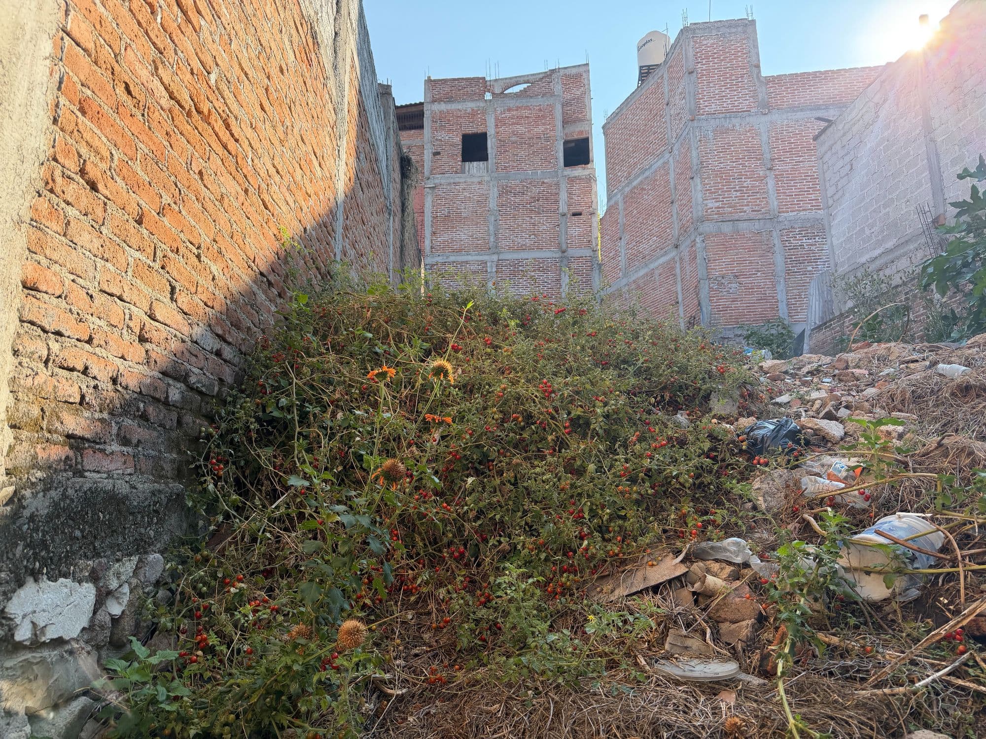 Lote Atascadero — photo 8 of 10