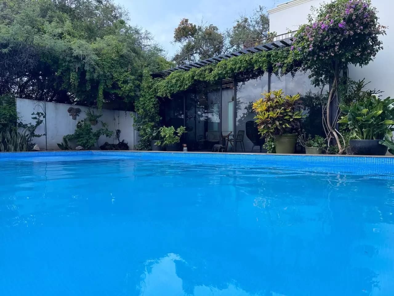 Casa Real del Bosque — photo 5 of 10