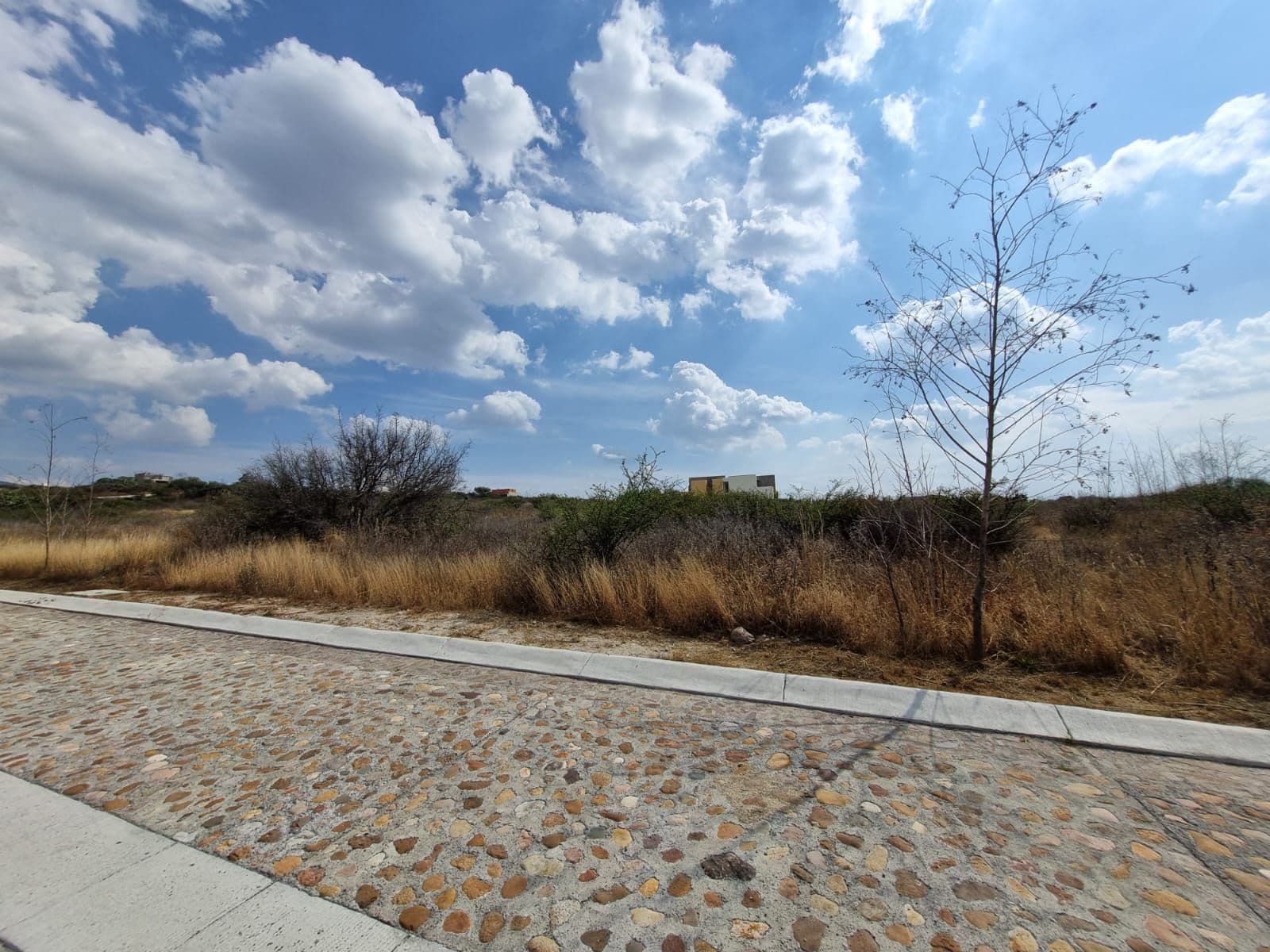 Lote Martorell — photo 10 of 10